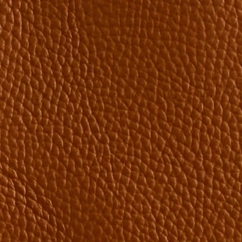 Eleanor 55 in Acorn